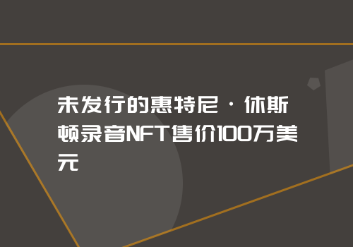 未发行的惠特尼·休斯顿录音NFT售价100万美元