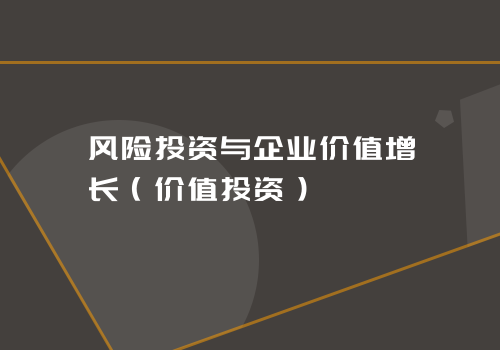 风险投资与企业价值增长（价值投资）