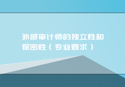 外部审计师的独立性和保密性（专业要求）