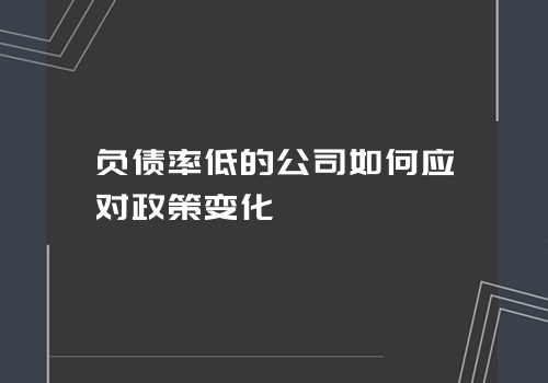 负债率低的公司如何应对政策变化