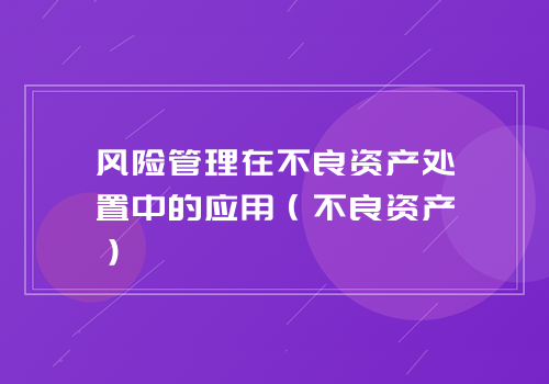 风险管理在不良资产处置中的应用（不良资产）