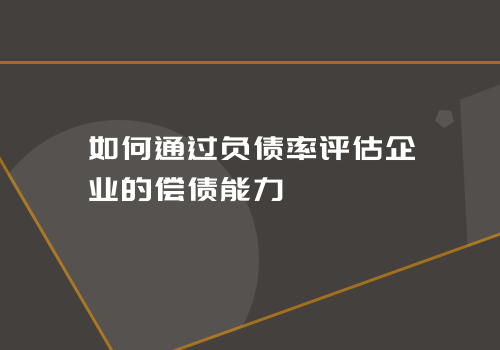 如何通过负债率评估企业的偿债能力