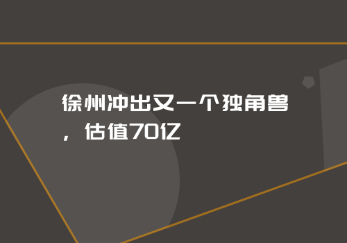 徐州冲出又一个独角兽，估值70亿