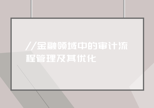 //金融领域中的审计流程管理及其优化