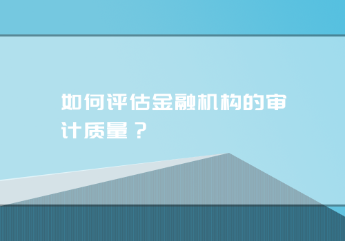 如何评估金融机构的审计质量？