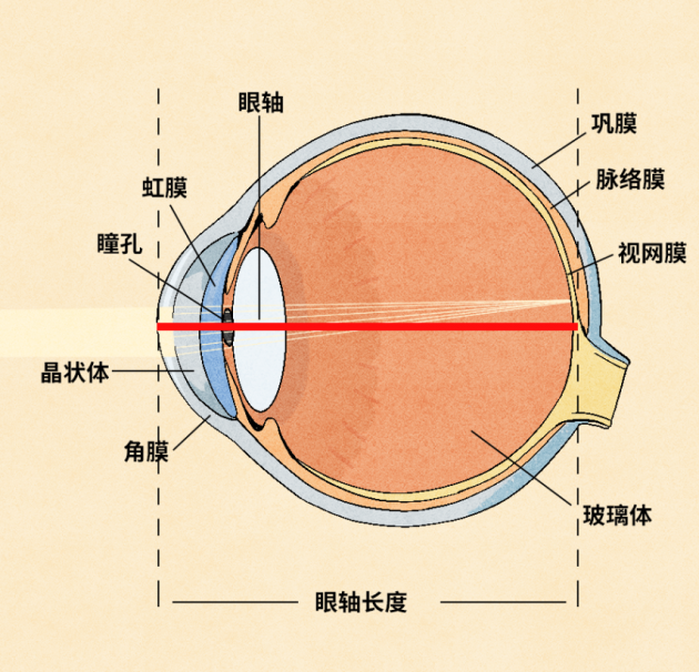 橙子乐学真大屏，让用眼距离不再成为影响孩子视力的因素